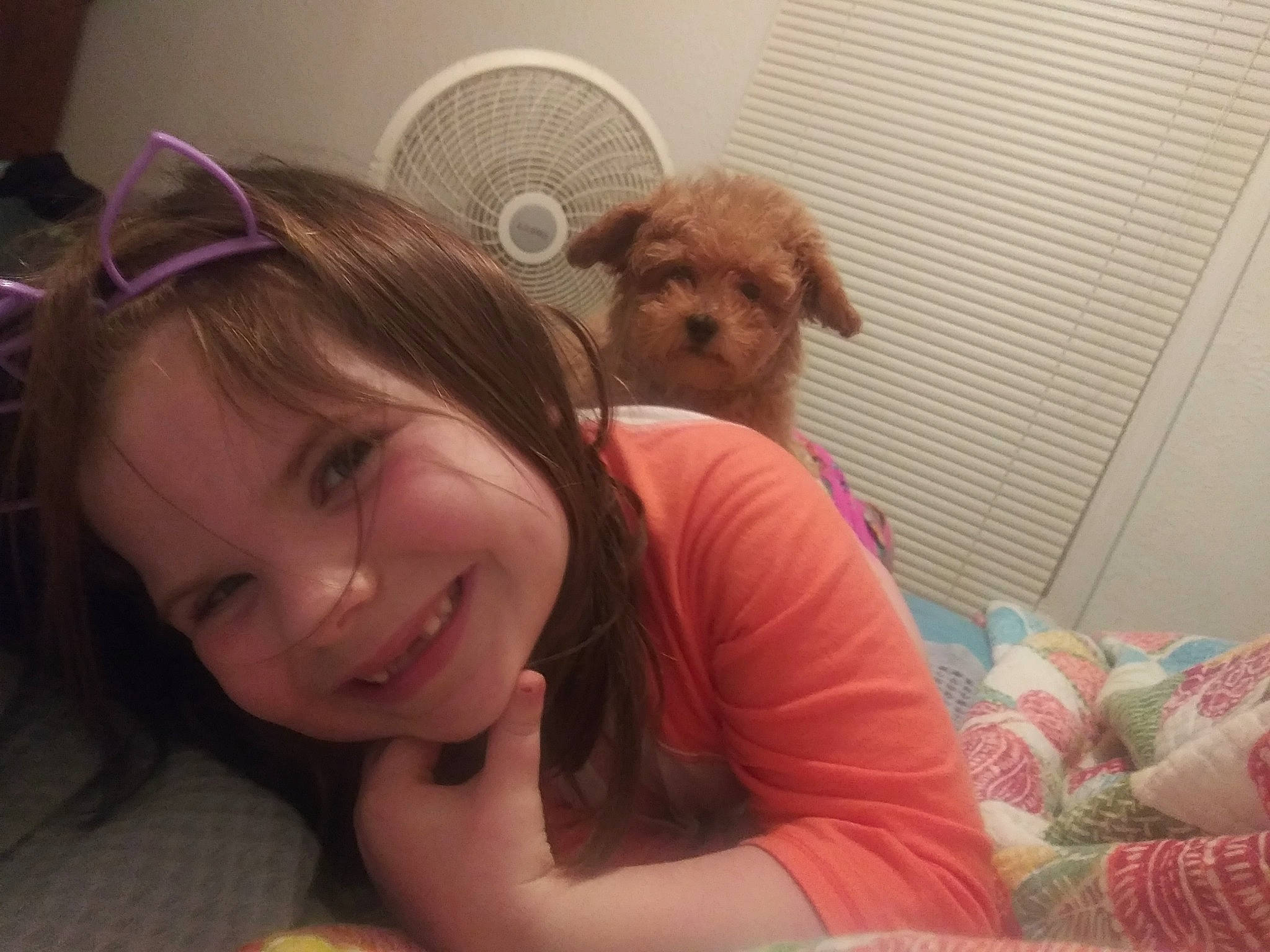 Kylea joined the competition — help win amazing prizes! canidae, carnivore, child, companion_dog, dog, dog_breed, ear, eye, joy, maltepoo, morkie, person, puppy, puppy_love, selfie, skin, toy_dog, yorkshire_terrier