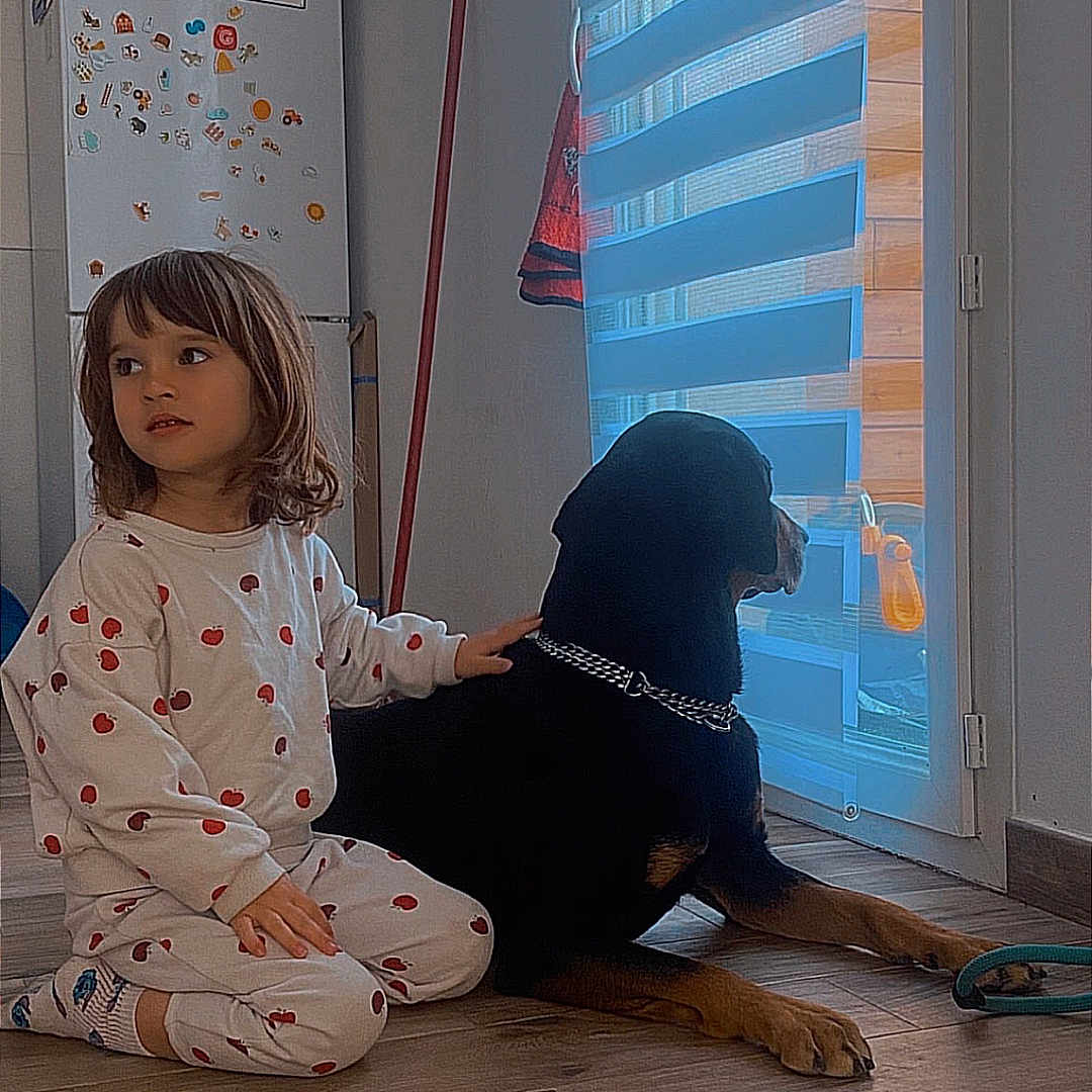 Arya participe au concours pour gagner de l'argent avec cette photo : child, dog, pajamas, indoor, floor, window, blinds, pet, calm, home, wooden_floor, black_dog, sitting, looking_out, hand_on_dog, cozy, relaxed, young_child, casual_clothing, domestic_scene