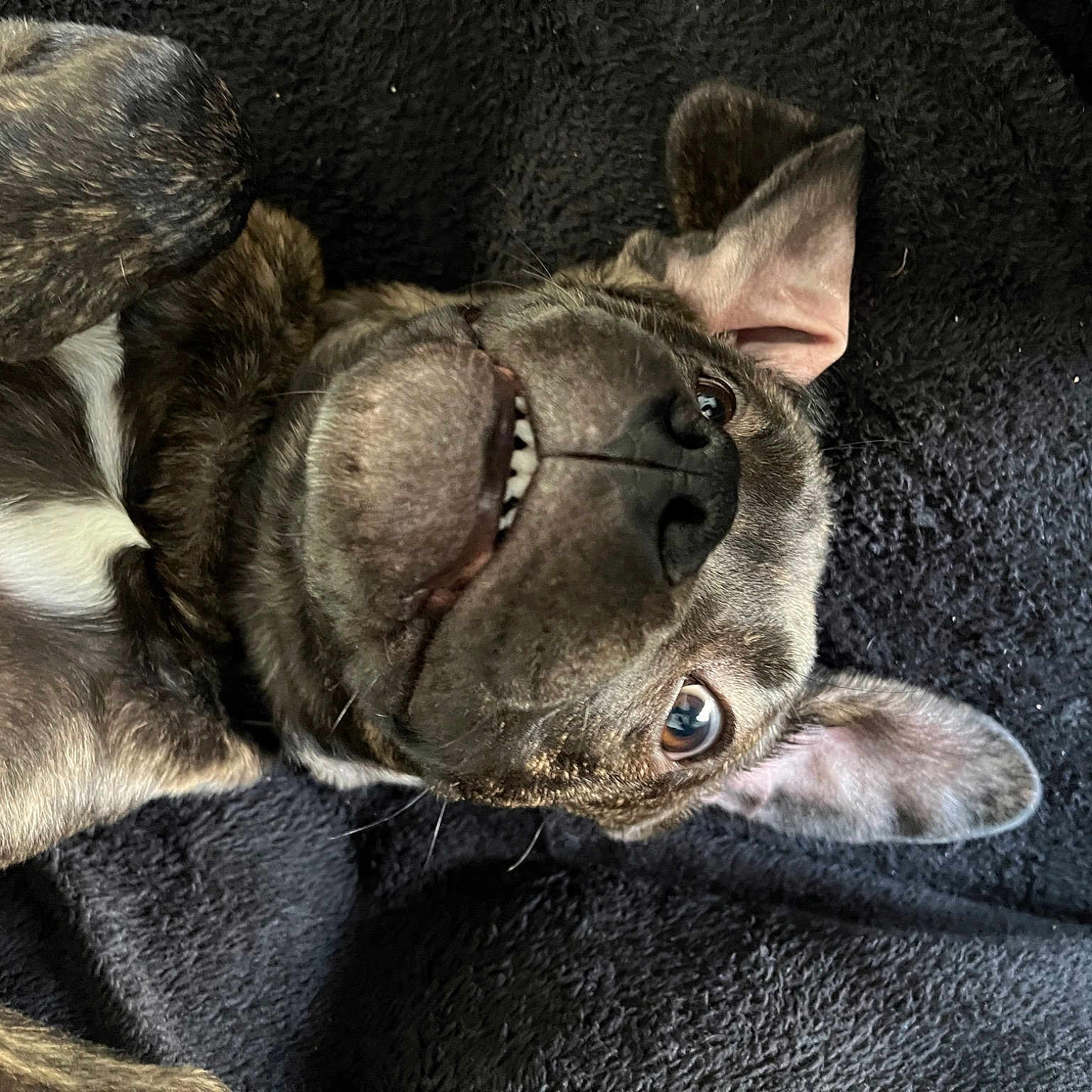 Tyson