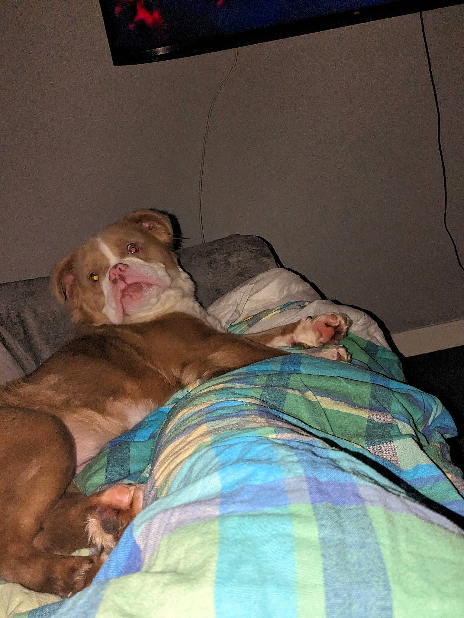 Pandora is registered to the contest to win money with this photo: abdomen, bed, bed_sheet, bedding, bedroom, chest, comfort, hair, human_body, human_leg, knee, leg, linens, pillow, room, television, television_set, textile, thigh, trunk