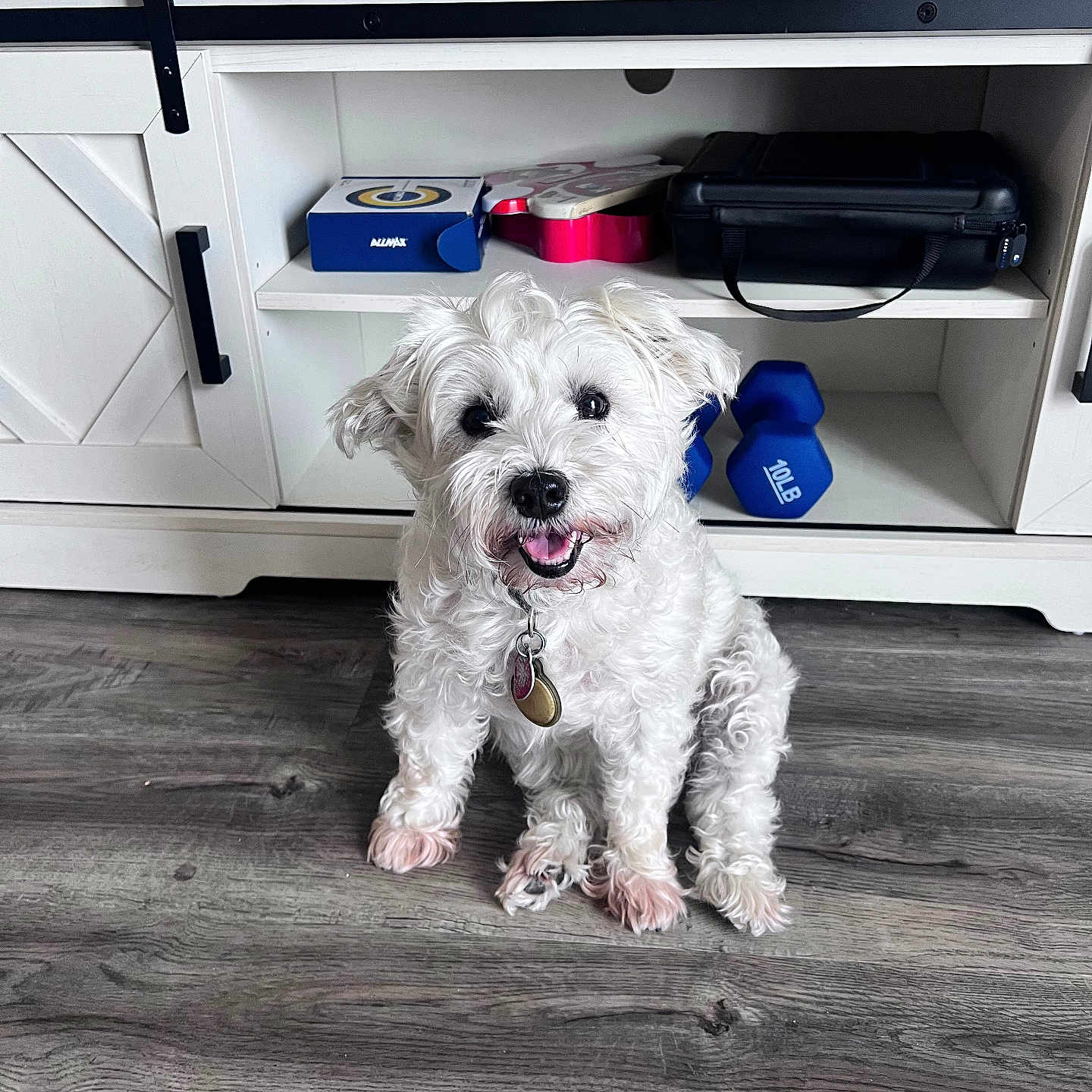 Sophie