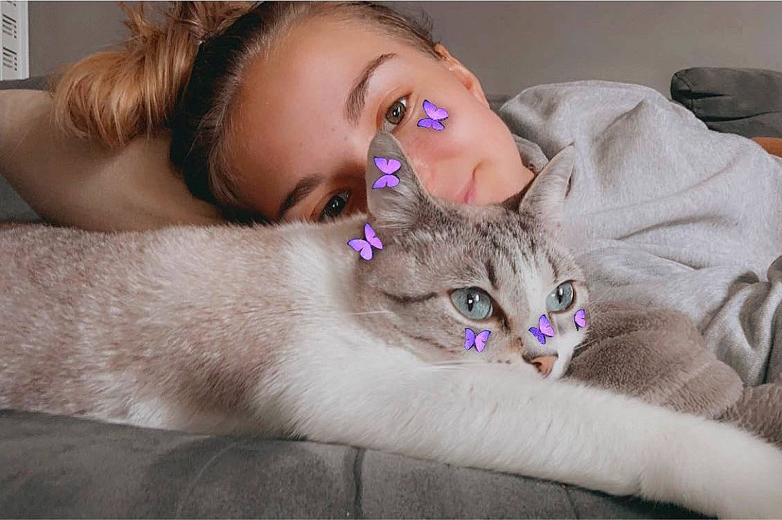 Loucky participe au concours pour gagner de l'argent avec cette photo : baby, carnivore, cat, comfort, domestic_short_haired_cat, ear, eye, eyelash, fawn, felidae, fur, happy, iris, linens, paw, sitting, small_to_medium_sized_cats, sunglasses, toddler, whiskers