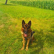 Enzo participe au concours pour gagner de l'argent avec cette photo :