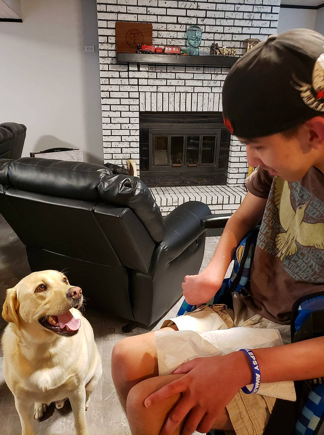 Hercules joined the competition — help win amazing prizes! canidae, carnivore, companion_dog, dog, dog_breed, fawn, puppy_love, sporting_group