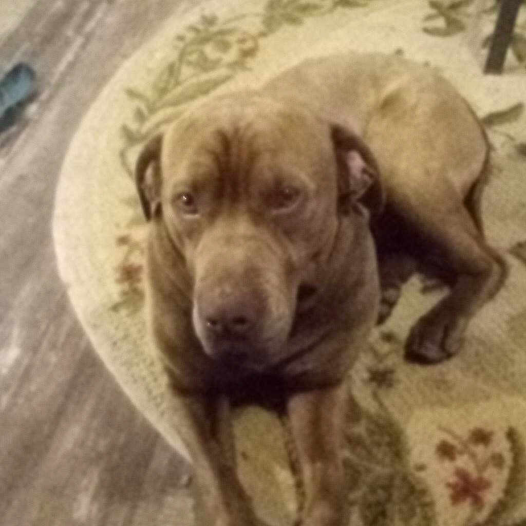 Buster