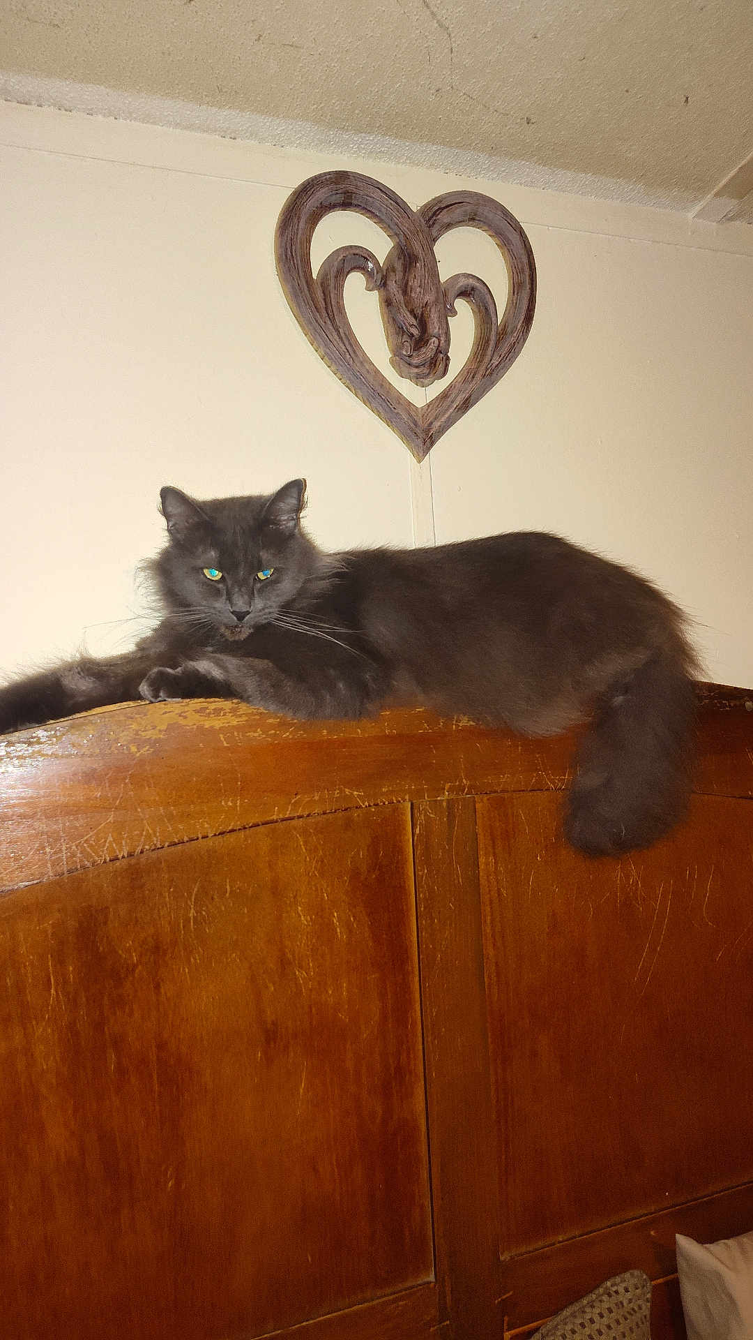 Fluffy