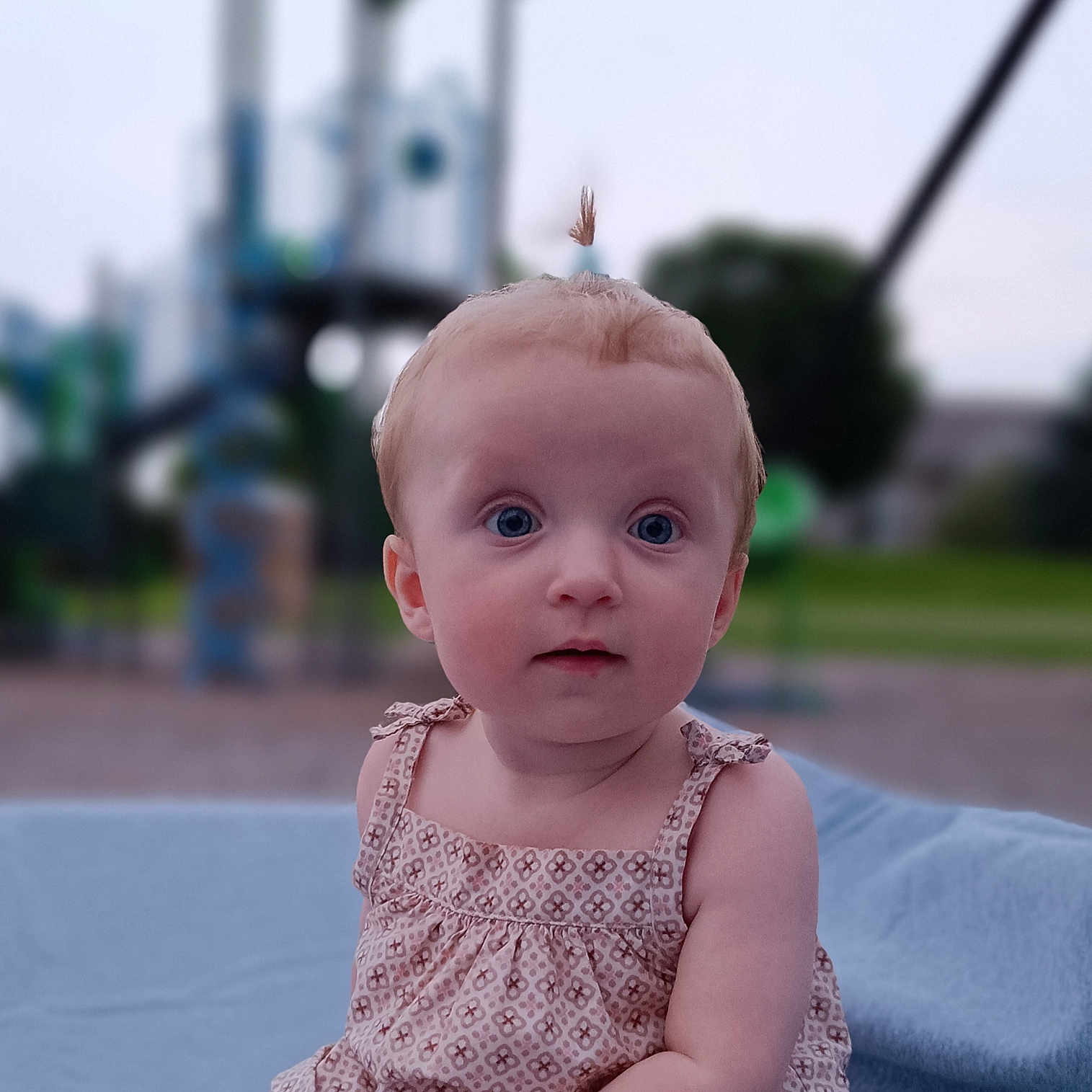 Debby joined the competition — help win amazing prizes! baby, blue_blanket, child, curious, cute, dress, eyes, face, grass, head, infant, nature, outdoor, park, person, playground, portrait, skin, summer, young_child