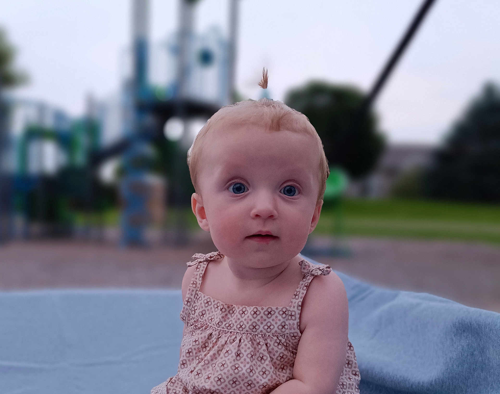 Debby joined the competition — help win amazing prizes! baby, blue_blanket, child, curious, cute, dress, eyes, face, grass, head, infant, nature, outdoor, park, person, playground, portrait, skin, summer, young_child