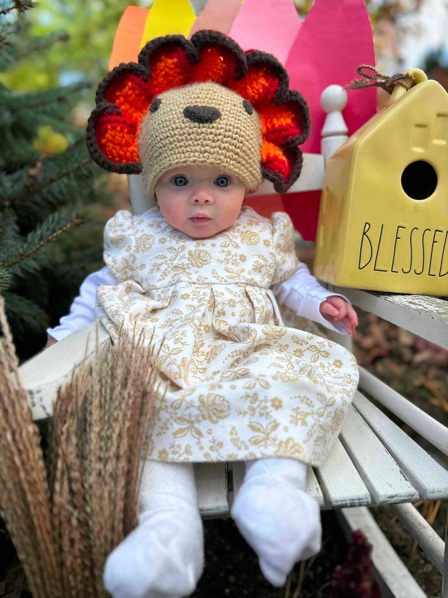 Natalie is registered to the contest to win money with this photo: baby, child, crocheted_hat, turkey_hat, white_socks, floral_dress, bench, birdhouse, autumn, outdoor, greenery, fall, decor, cute, portrait, seasonal, happy, festive, hat, sitting