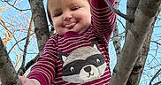 Noah is registered to the contest to win money with this photo: toddler, child, tree, branches, sky, outdoor, playful, smiling, tongue_out, striped_shirt, raccoon_graphic, nature, bare_trees, daylight, happy, cute, person, casual_clothing, holding_branch, young_child