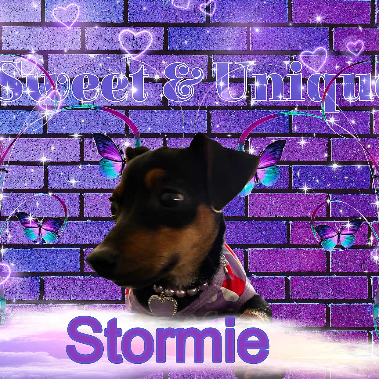 Stormie