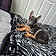 Xena