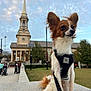 accessories, animal, architecture, belltower, building, canine, city, clocktower, clothing, dog, grass, hat, outdoors, person, pet, plant, shelter, spire, strap, tower