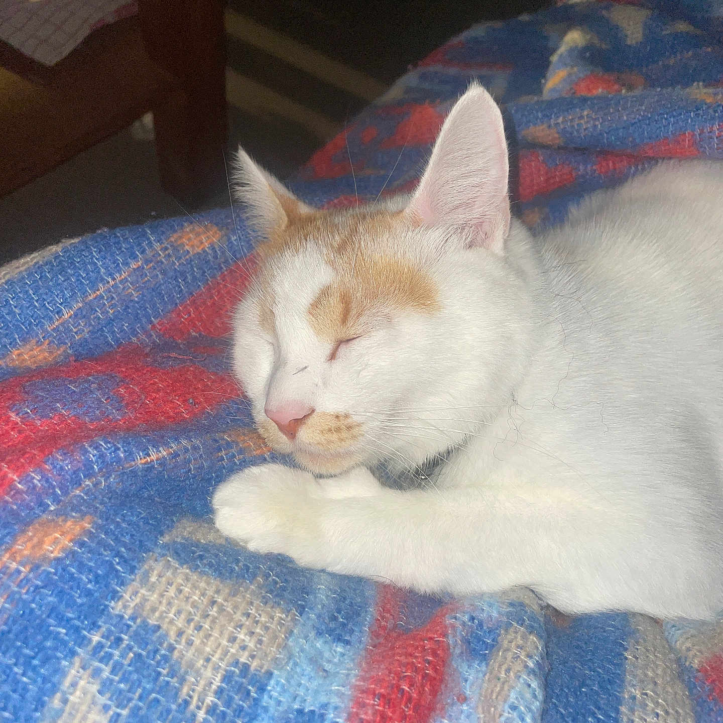 Najma