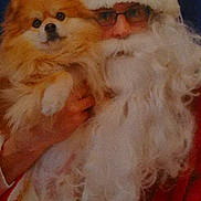Captain is registered to the contest to win money with this photo: person, dog, pomeranian, santa_claus, beard, glasses, costume, holiday, festive, fluffy, pet, portrait, indoor, holding, face, red_clothing, white_beard, cute, animal, celebration