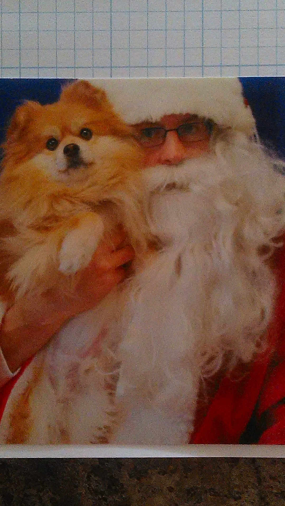 Captain is registered to the contest to win money with this photo: person, dog, pomeranian, santa_claus, beard, glasses, costume, holiday, festive, fluffy, pet, portrait, indoor, holding, face, red_clothing, white_beard, cute, animal, celebration