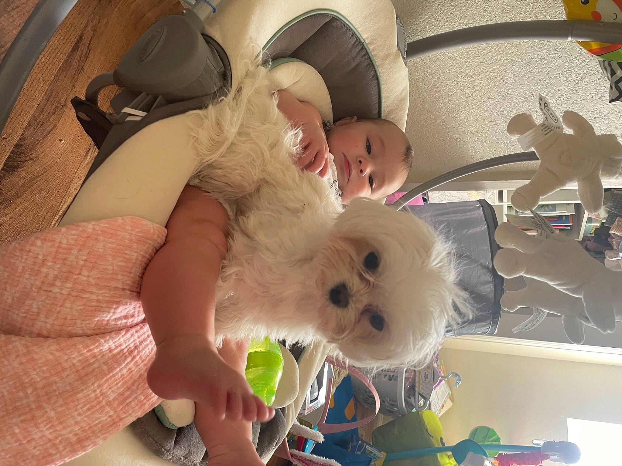 Indie is registered to the contest to win money with this photo: baby, baby_products, baby_sleeping, baby_toys, bed, bedtime, child, comfort, companion_dog, fun, happy, linens, nap, person, room, smile, stuffed_toy, teddy_bear, toddler, toy