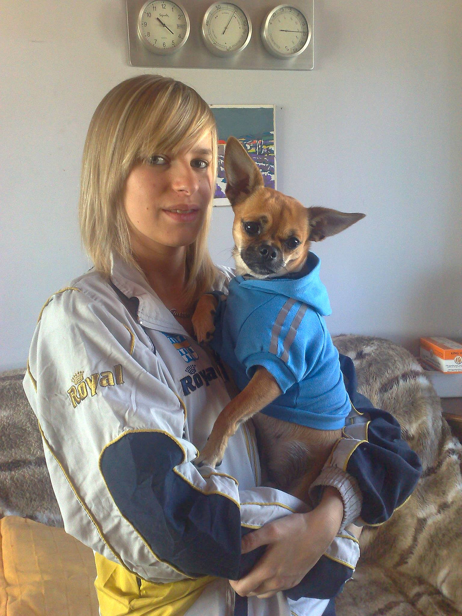 Spaiky a rejoint le concours — aidez-le/la à gagner de superbes lots ! bag, canidae, carnivore, chihuahua, companion_dog, dog, dog_breed, dog_supply, fawn, non_sporting_group, shoulder_bag, snout, sporting_group, toy_dog, working_animal, working_dog