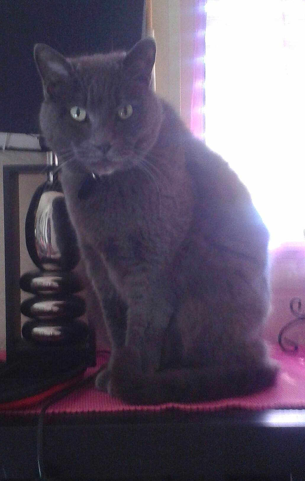 Mimi