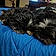 Kody And Luca