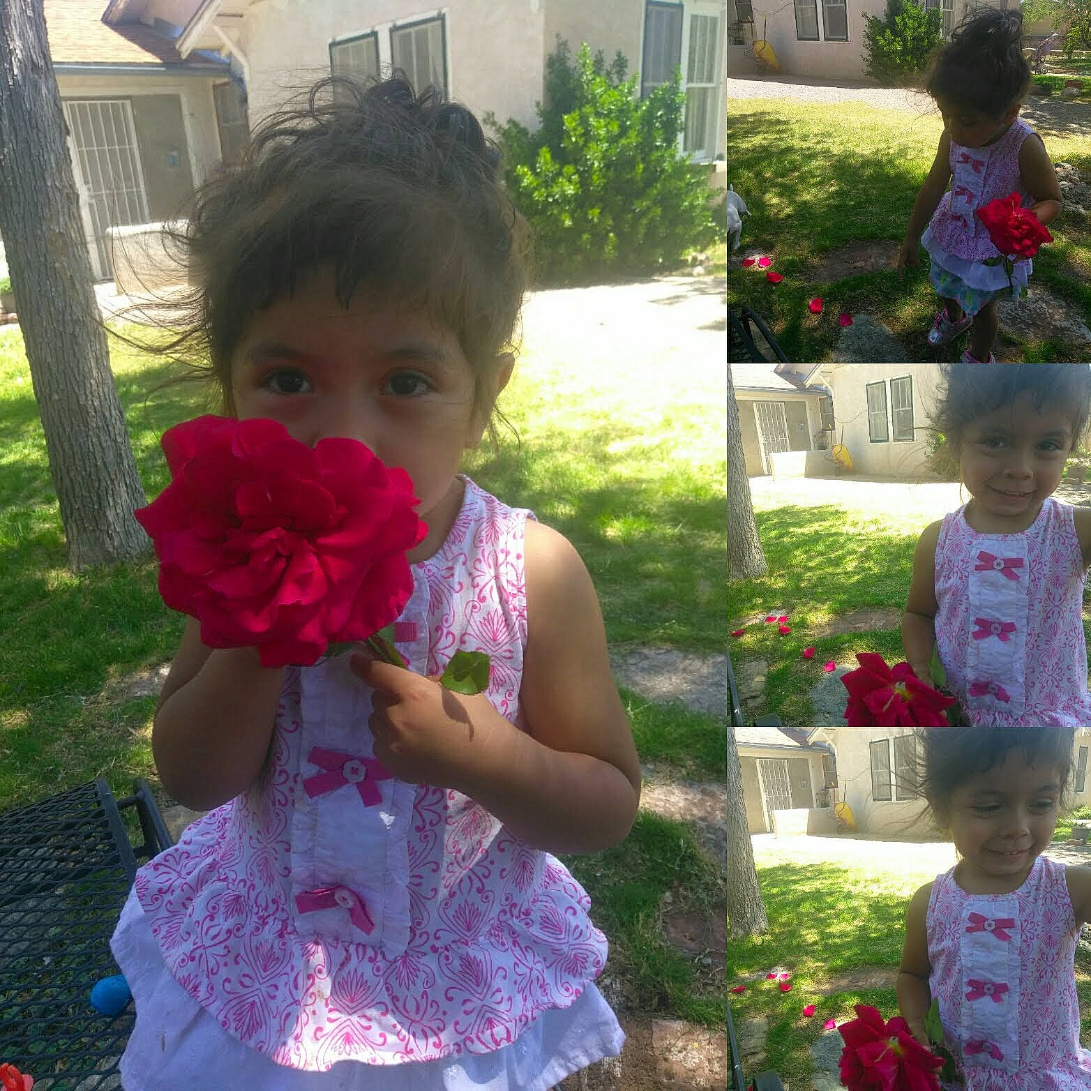 Rosa Adaia is registered to the contest to win money with this photo: baby_toddler_clothing, beauty, botany, child, clothing, face, flower, grass, green, happy, head, joy, leaf, magenta, morning, person, petal, photograph, pink, plant