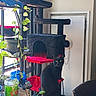 cat, black_cat, cat_tree, indoor, plant, window, furniture, red_platform, green_plant, pot, cap, chair, houseplant, decor, pet, animal, domestic_cat, sitting, sunlight, home