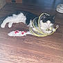 cat, black_and_white, toy, fish_toy, floor, wooden_floor, pet, animal, indoor, mesh_toy, playful, feline, relaxed, domestic, pet_toy, fur, whiskers, ears, yellow, white