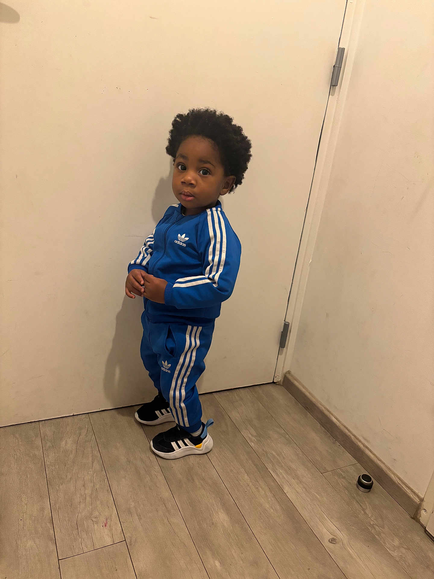 Kyzani a rejoint le concours — aidez-le/la à gagner de superbes lots ! child, toddler, blue_tracksuit, adidas, sneakers, standing, indoors, wooden_floor, door, curious_expression, black_hair, casual_clothing, sporty, young_person, full_body, portrait, floor, wall, footwear, person