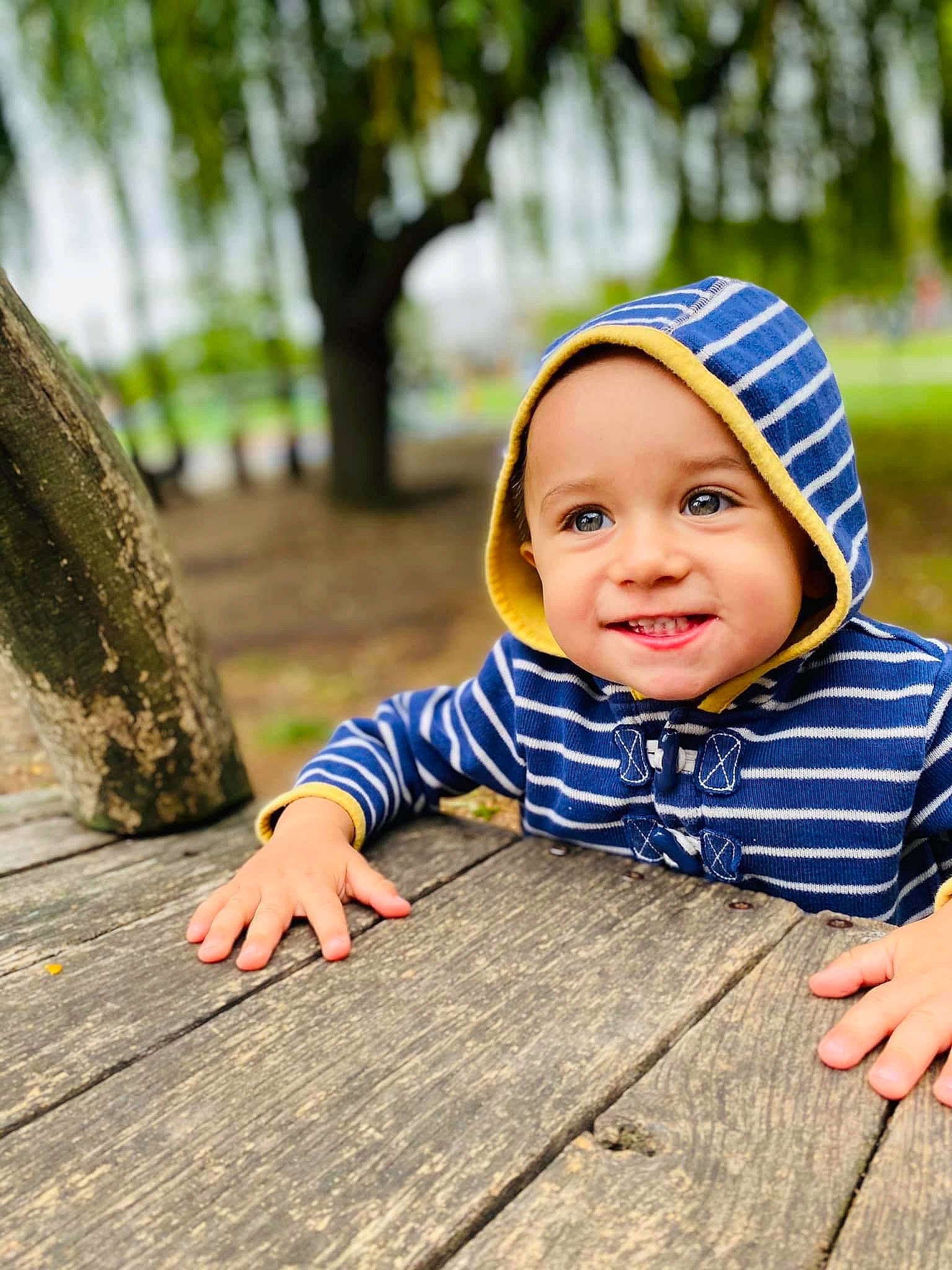 Jayson is registered to the contest to win money with this photo: baby, baby_laughing, baby_toddler_clothing, bonnet, cheek, child, child_model, eye, facial_expression, happy, headwear, laugh, lip, mouth, nose, people_in_nature, person, plank, portrait_photography, sleeve