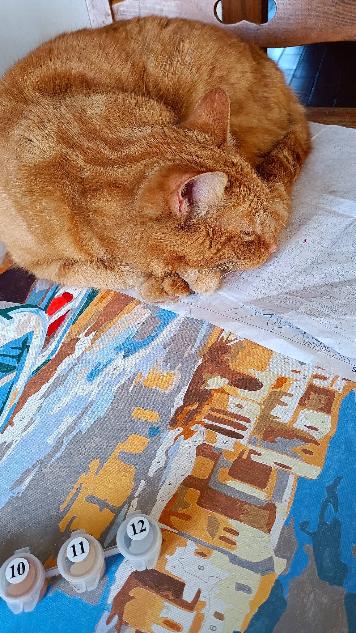 Carlton a rejoint le concours — aidez-le/la à gagner de superbes lots ! art, carnivore, cat, claw, comfort, domestic_short_haired_cat, fawn, felidae, fur, linens, nap, pattern, paw, puzzle, small_to_medium_sized_cats, snout, tail, whiskers, wood, wrinkle