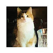 Belle joined the competition — help win amazing prizes!