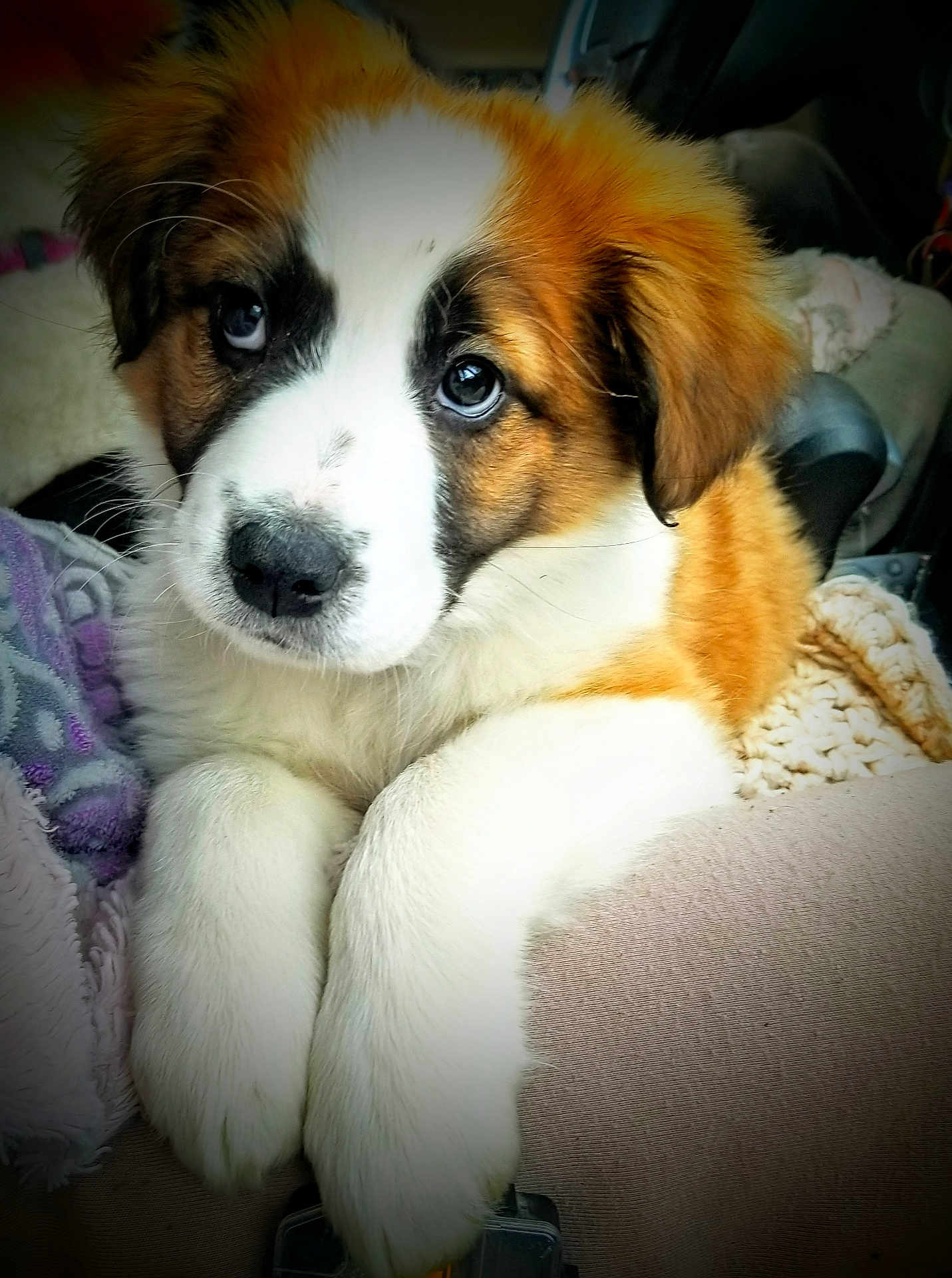 Sophie
