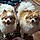 Sadie And Jia