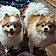 Sadie And Jia
