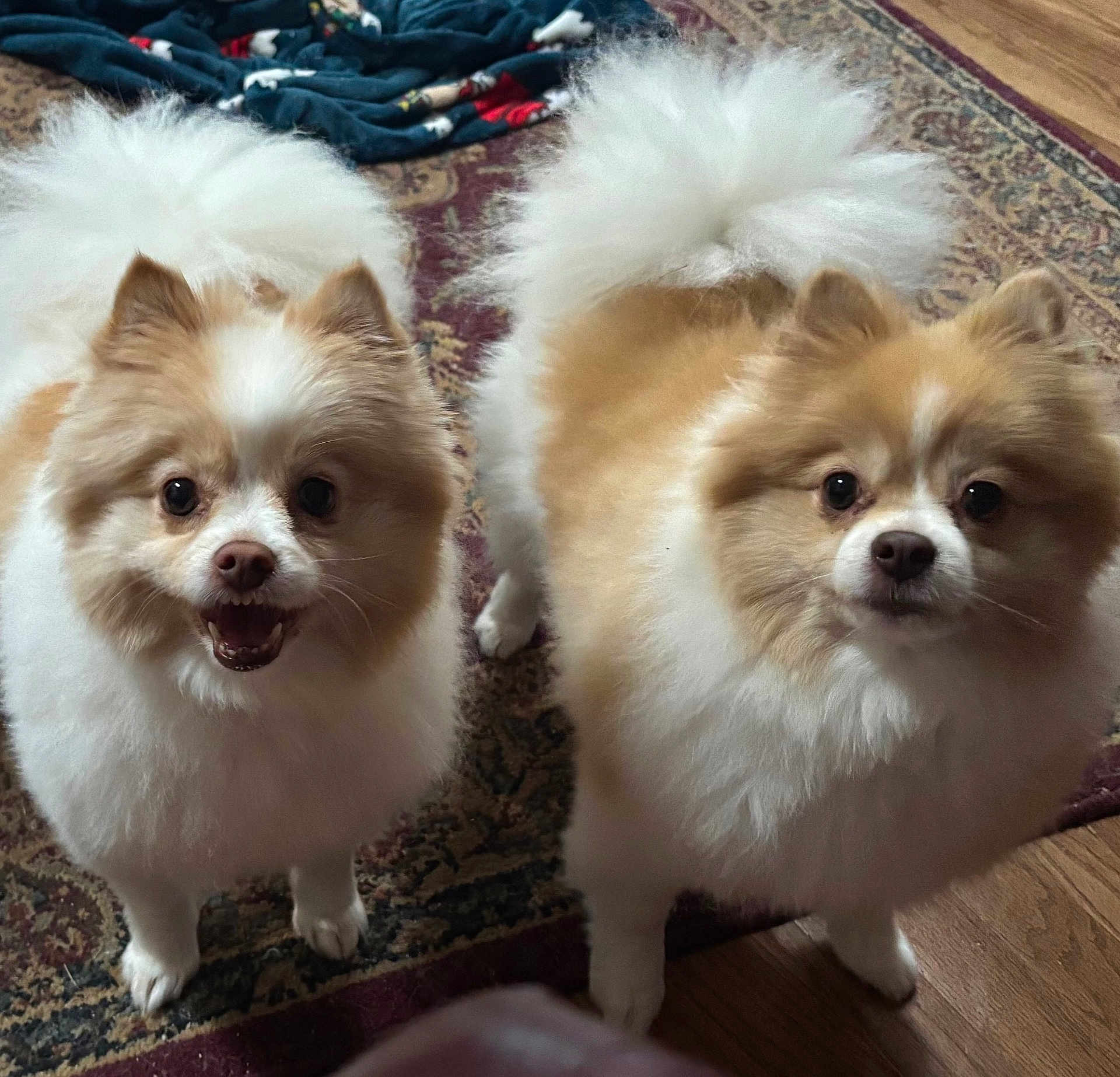 Sadie And Jia