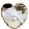 cat, sleeping, fluffy, heart_shape, burnt_paper, white, brown, pink_nose, paw, bed, blanket, cozy, resting, cute, pet, animal, fur, relax, indoor, closeup
