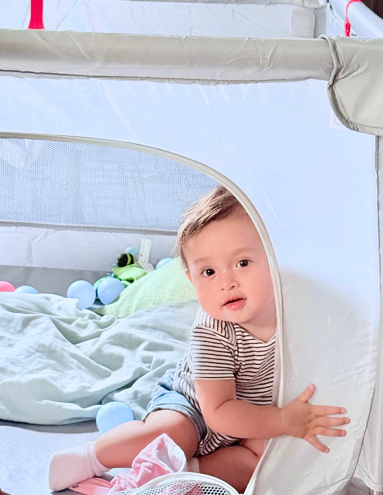 Charlotte Jane is registered to the contest to win money with this photo: toddler, child, playpen, toy_balls, blanket, socks, striped_shirt, shorts, indoor, baby, curious, smiling, soft_light, cozy, playtime, mesh_side, hand, face, young_child, cute