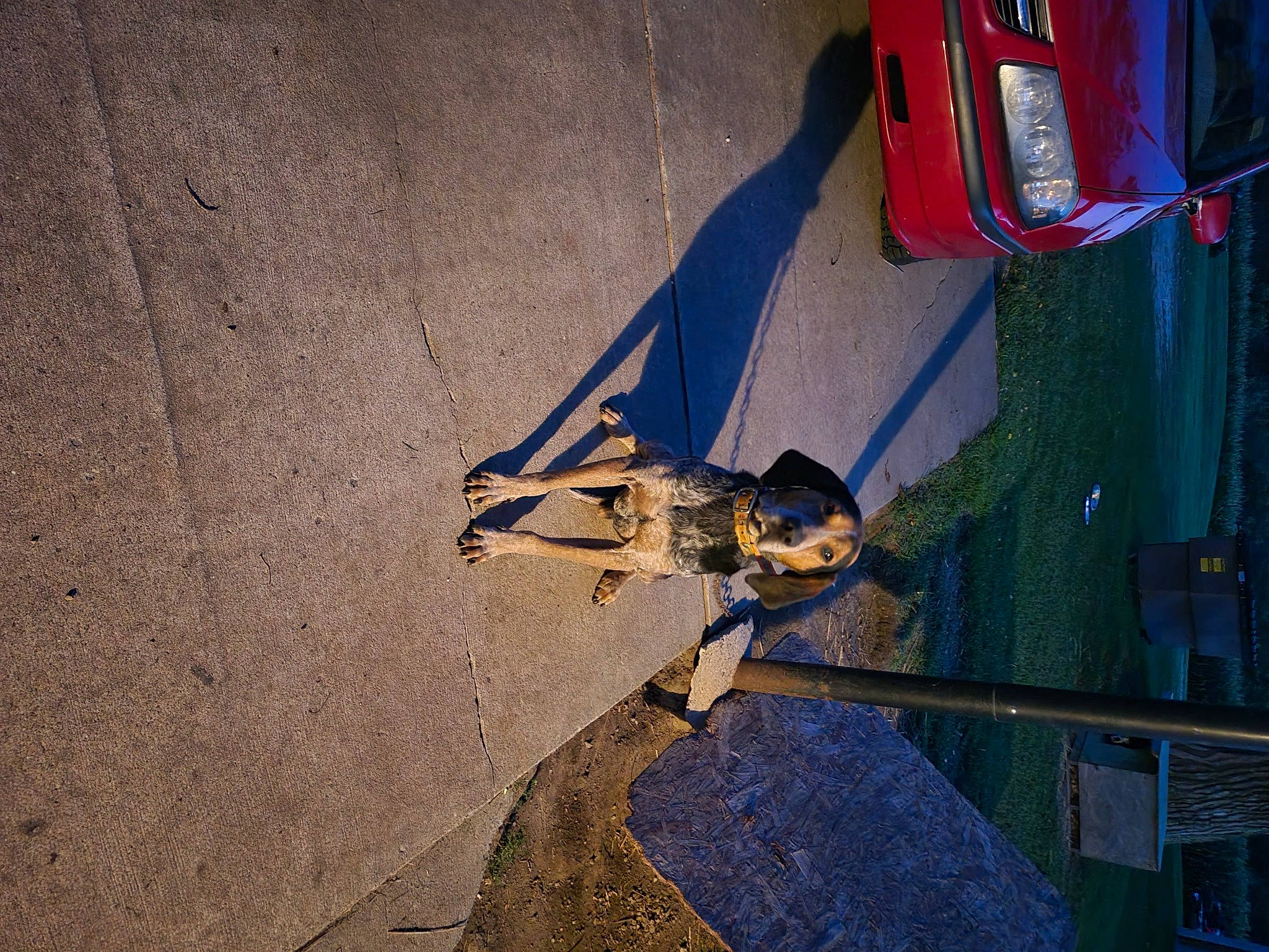 Slick is registered to the contest to win money with this photo: asphalt, automotive_exterior, automotive_lighting, automotive_tail_brake_light, automotive_tire, bumper, car, concrete, electric_blue, family_car, fender, hood, motor_vehicle, road, road_surface, tints_and_shades, tire, trunk, vehicle, vehicle_door