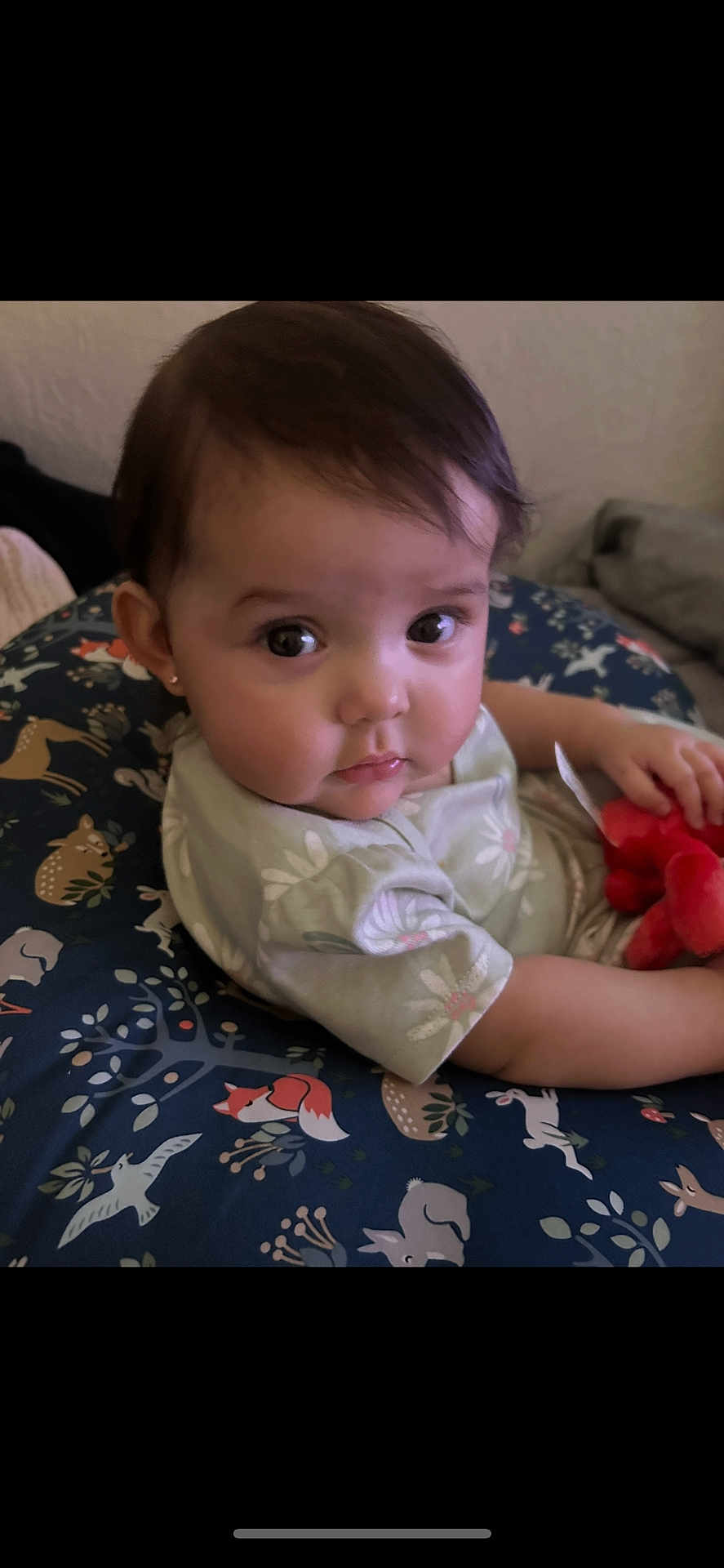 Bella joined the competition — help win amazing prizes! baby, child, infant, face, eyes, plush_toy, cushion, pattern, animal_print, clothing, earrings, person, indoor, cute, soft_lighting, portrait, seated, expression, young, skin