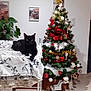 black_cat, cat, christmas_tree, ornament, tinsel, blanket, bedding, picture_frame, wall_photos, plant, indoor, holiday, festive, decoration, tile_floor, sleigh, santa_ornament, furniture, cozy, pet