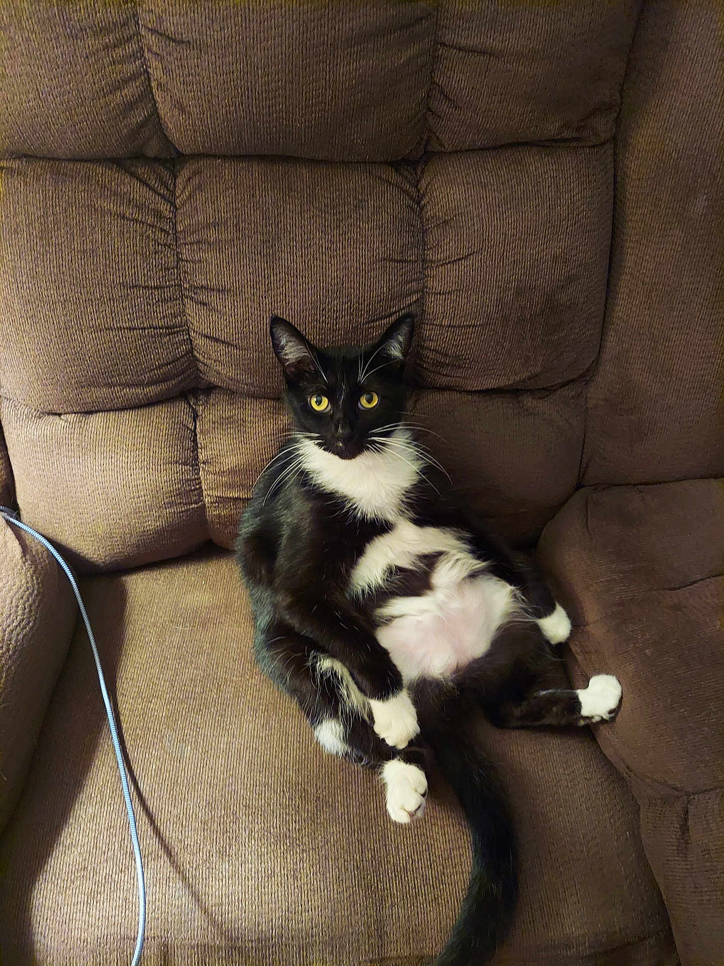 Max