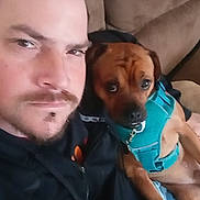 Buddha is registered to the contest to win money with this photo: man, dog, couch, indoor, closeup, pet, harness, casual_clothing, beard, mustache, brown_dog, human_face, animal_face, seated, relaxed, furniture, expression, bond, friendship, companion