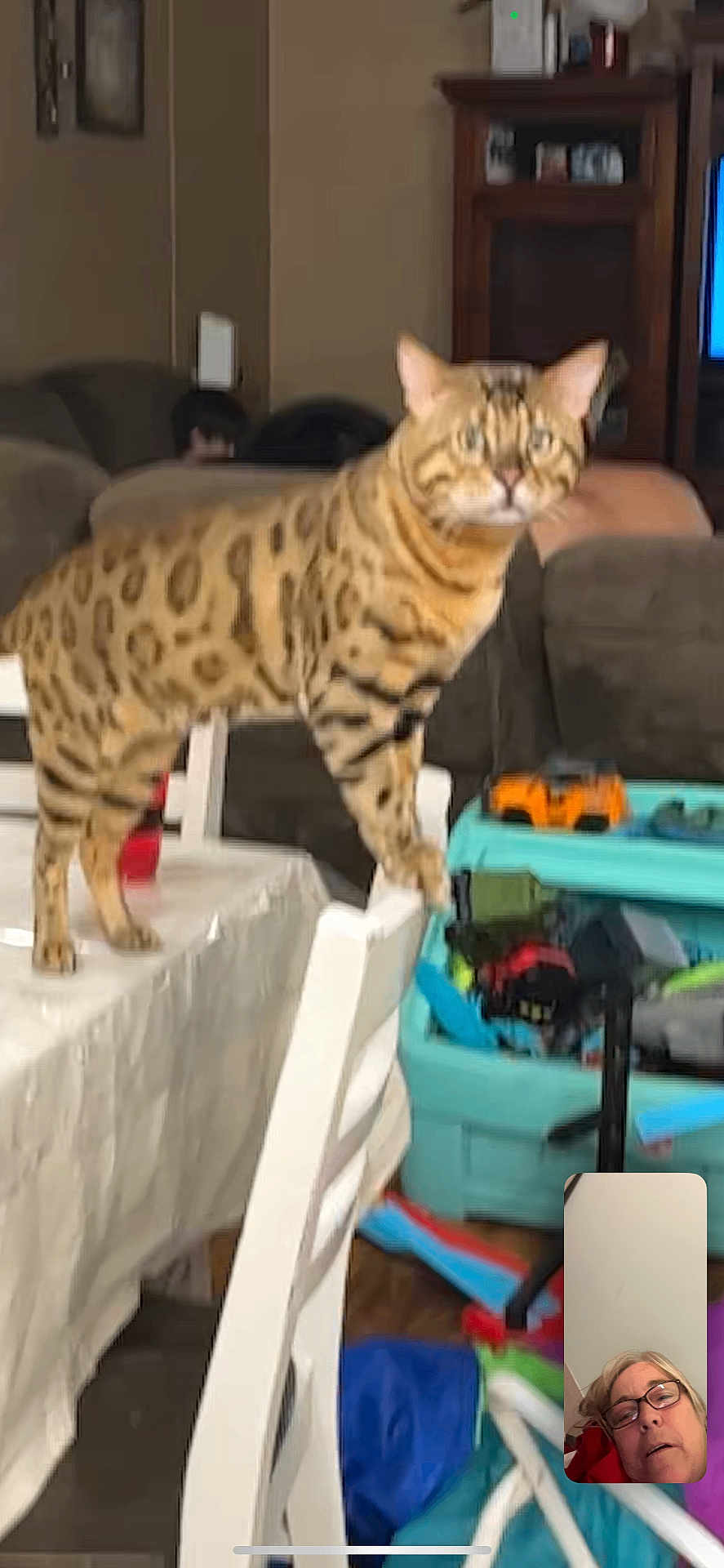 Vulcan
