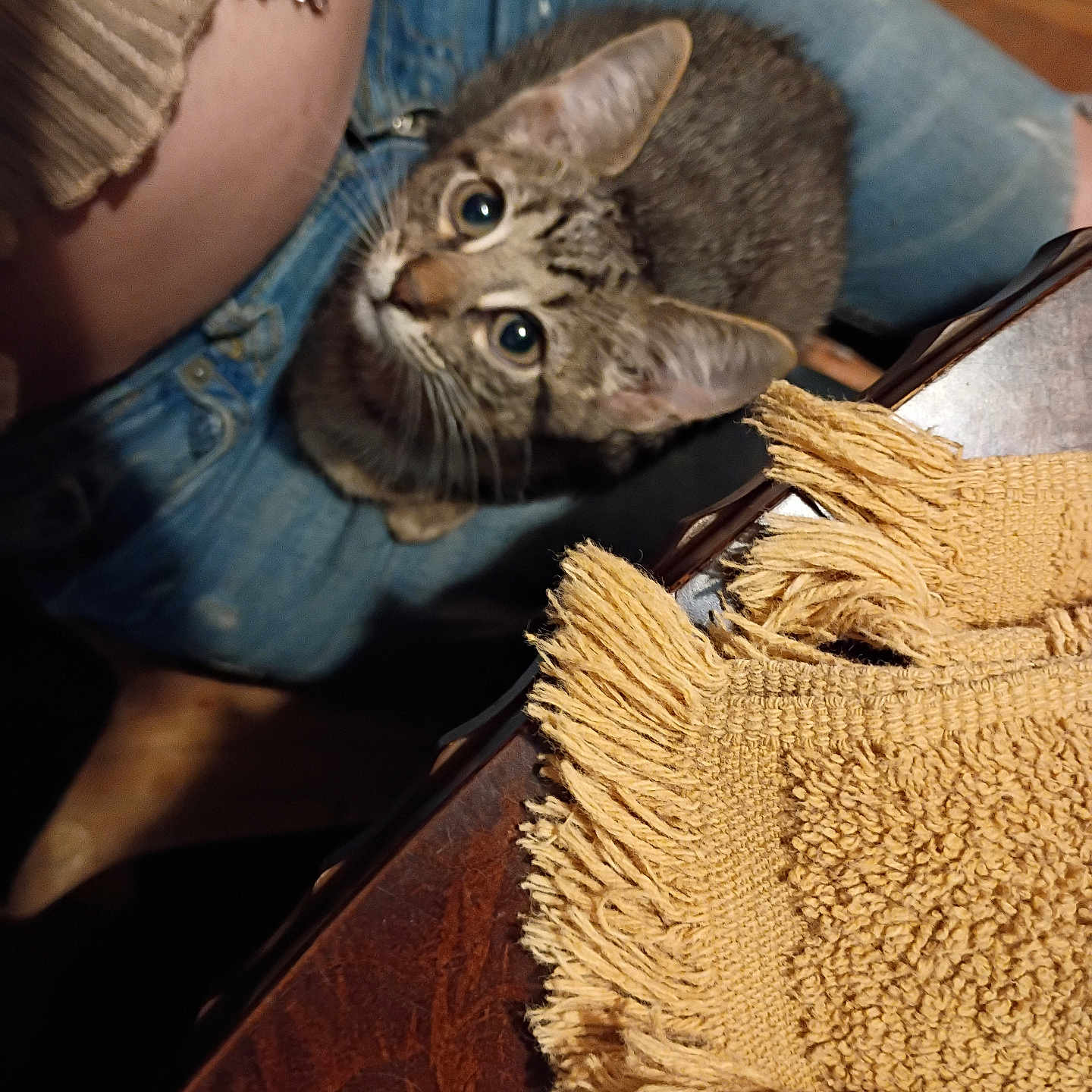 Mowgli