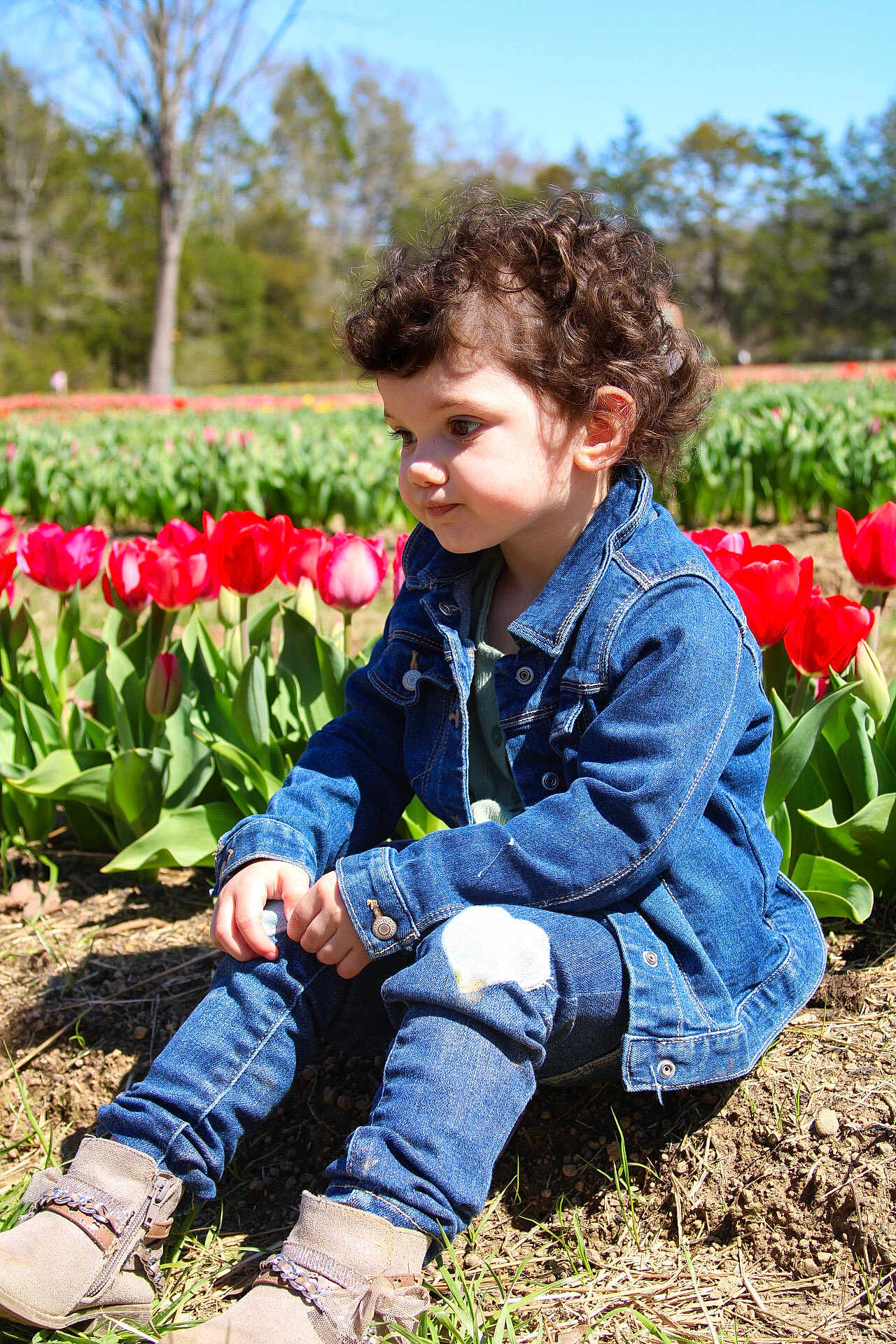 Ellie is registered to the contest to win money with this photo: child, toddler, denim_jacket, jeans, boots, curly_hair, flowers, tulips, garden, outdoor, sunlight, nature, plants, soil, sitting, portrait, greenery, casual_clothing, daytime, cute