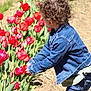 Ellie joined the competition — help win amazing prizes! toddler, child, curly_hair, denim_jacket, jeans, flowers, tulips, garden, outdoor, nature, plants, greenery, spring, sunlight, playing, exploring, cute, young, floral, colorful