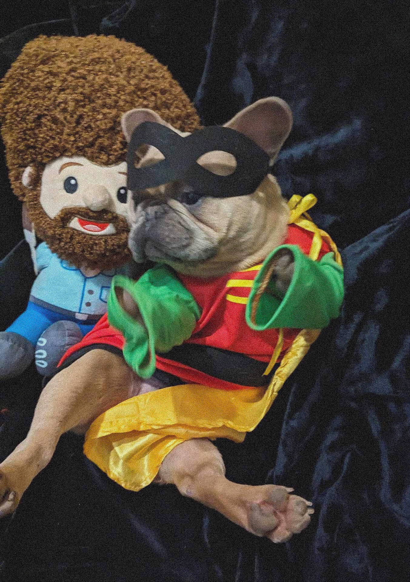 Durk is registered to the contest to win money with this photo: animated_cartoon, animation, costume, event, felidae, fictional_character, fun, fur, hat, mascot, plush, snout, stuffed_toy, teddy_bear, terrestrial_animal, toy