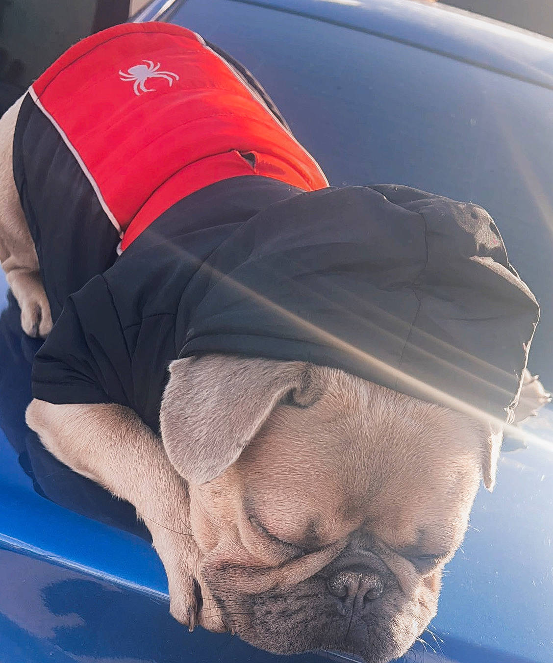 Durk is registered to the contest to win money with this photo: auto_part, automotive_exterior, automotive_lighting, automotive_window_part, beard, boats_and_boating_equipment_and_supplies, bumper, comfort, elbow, electric_blue, family_car, hood, knee, leisure, personal_protective_equipment, recreation, sportswear, vehicle_door, windshield, wrinkle