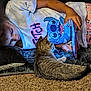 animal, carpet, casual, cat, child, comfortable, cuddly, home, indoor, lying_down, pajamas, person, pet, relaxing, screen, stitch, tabby_cat, tablet, technology, tshirt