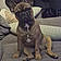 Achille